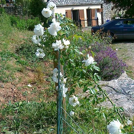 L' Amabile Geko Rio Marina