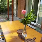 Hébergement de vacances L' Amabile Geko