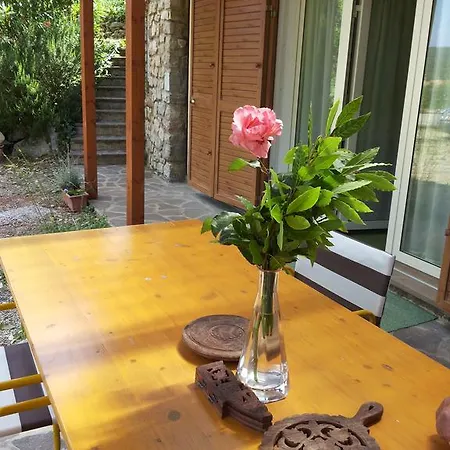 Holiday home L'amabile Geko