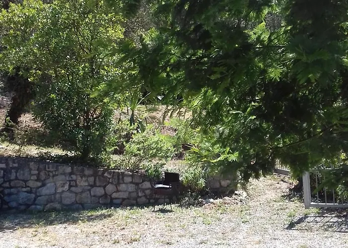 Vakantiehuis L' Amabile Geko