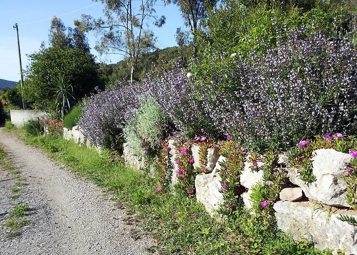 펜션 L' Amabile Geko