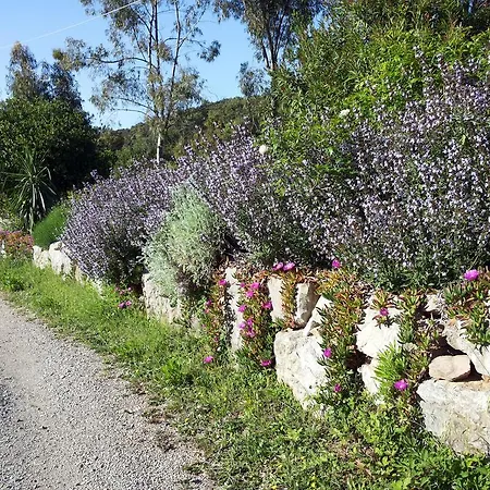 Casa vacanze L' Amabile Geko